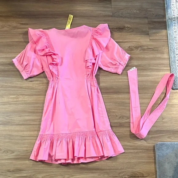 Zara Pink Ruffle Sleeve Dress - Picture 7 of 7